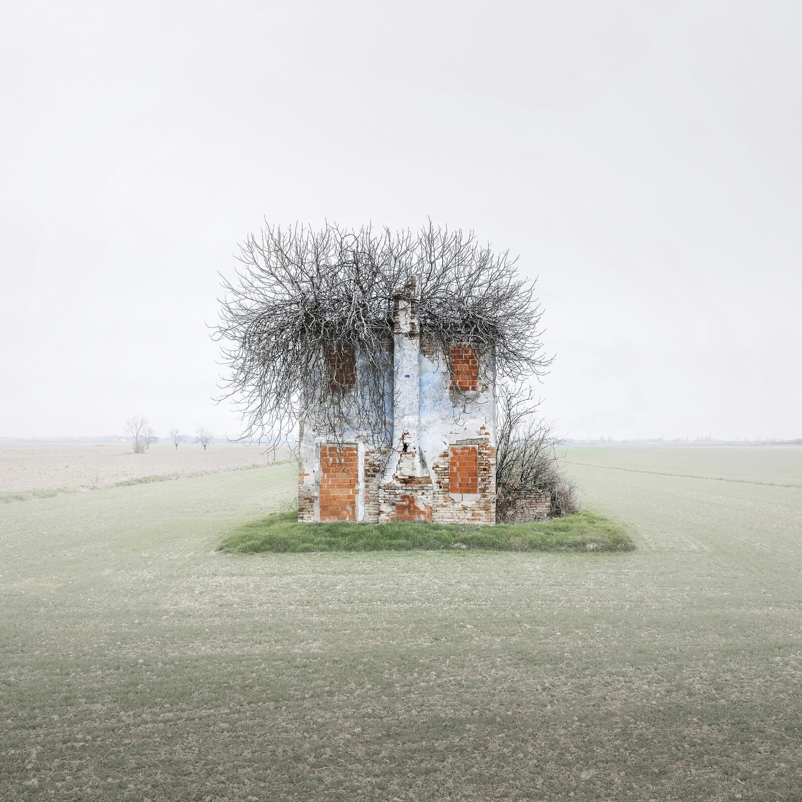 "The house with hair" by Nick Green, Architecture Best New Talent of the Year 2025