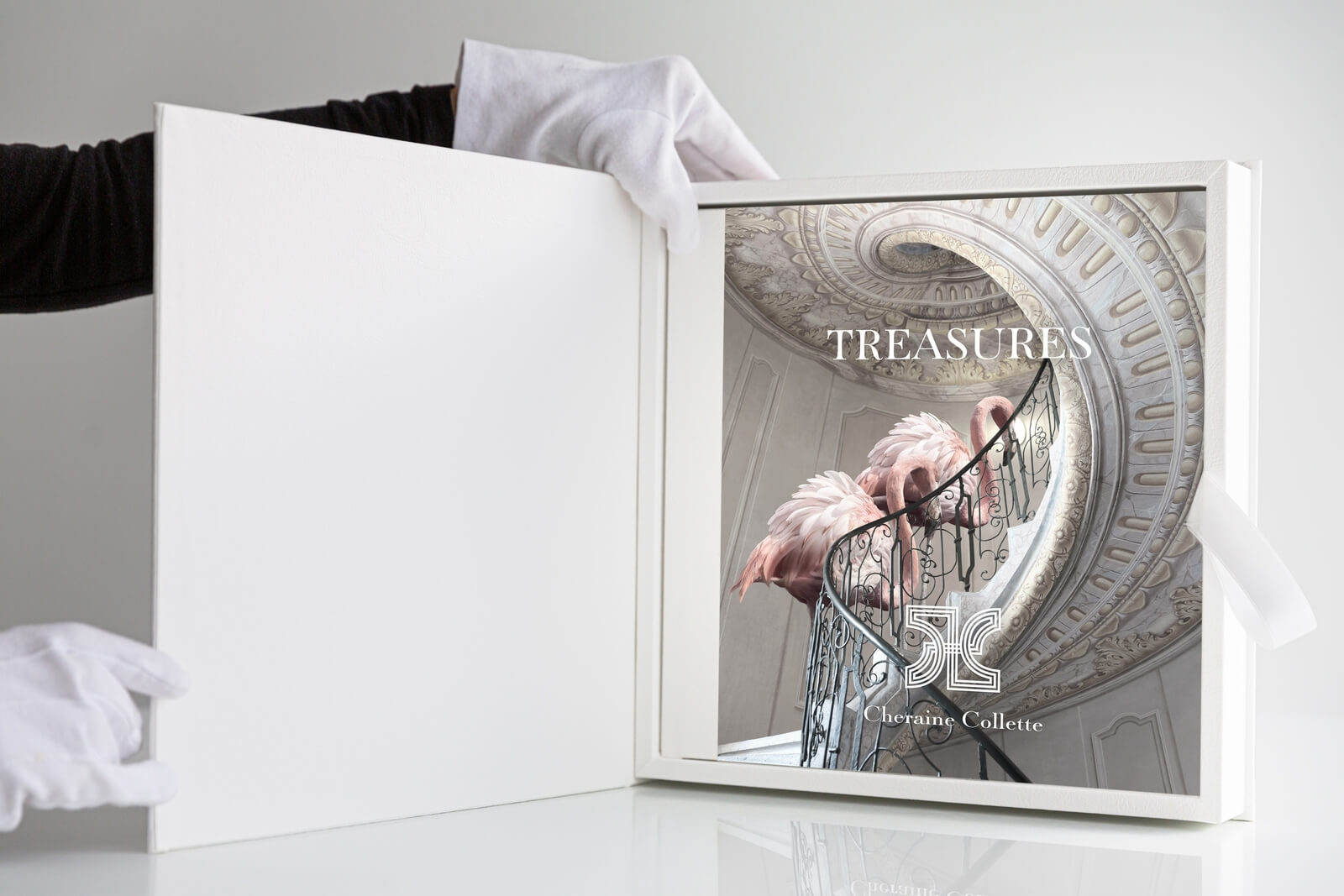"TREASURES Limited Edition Book" by Cheraine Collette, Book Photographer of the Year 2025