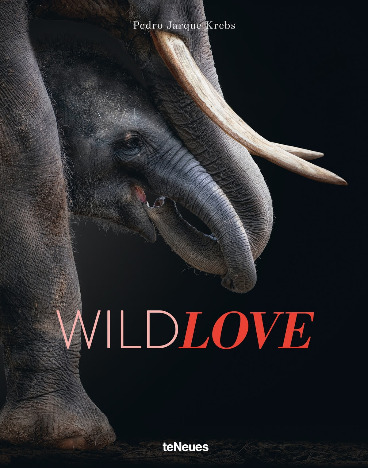 "WildLove" by Pedro Jarque Krebs